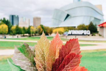 Fall in Downtown Winnipeg, Fall at the Forks, The Forks, Canadian Museum for Human Rights, Winnipeg Skyline, Downtown Living, Living in Downtown Winnipeg, Living at 300 Main Downtown Winnipeg Apartments