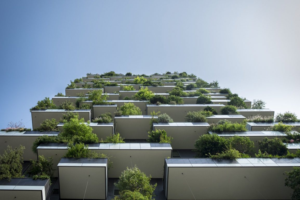 Bigger is Greener The Environmental Benefits of HighDensity Housing