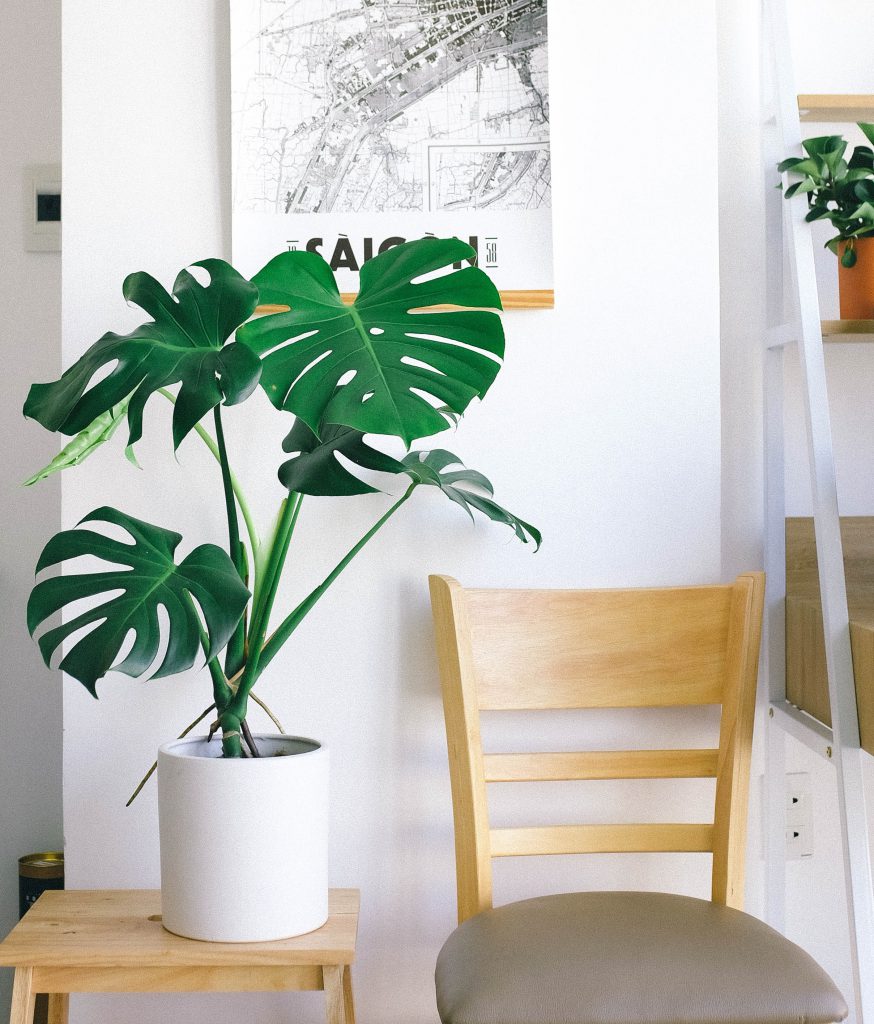 wall painting, accent wall, tapestry, wallpaper, apartment decor, decorating, interior design, apartment style, boho-style apartment, boho-style wall, apartment living, renting an apartment, potted plant