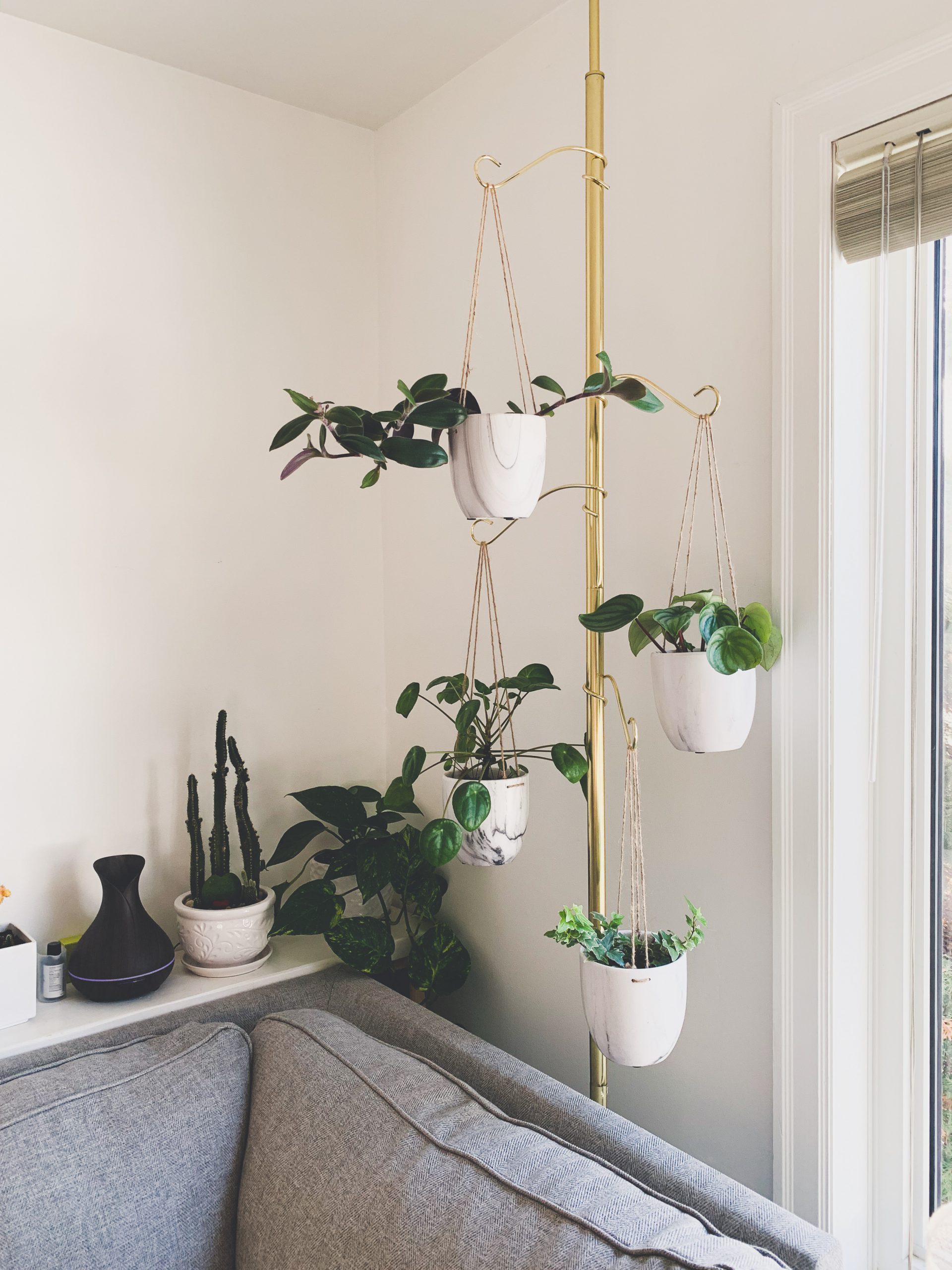 Finding Your (Houseplant) Match - Living at 300 Main Downtown Winnipeg