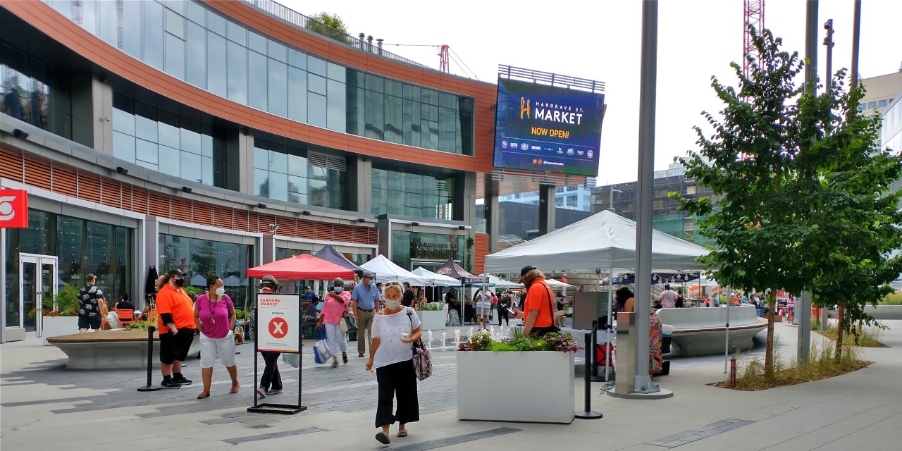 The Ultimate Downtown Winnipeg Plant Shop Walk Living at 300 Main Downtown Winnipeg